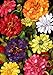 Toland Home Garden 102064 Zippy Zinnias Spring Flag 28x40 Inch Double Sided Spring Garden Flag for Outdoor House summer Flag Yard Decoration