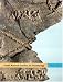 Magazines : Israel Museum Studies in Archaeology : Imsa