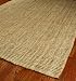 Safavieh Weaves Natural Fiber Rug Beige 6' x 9'
