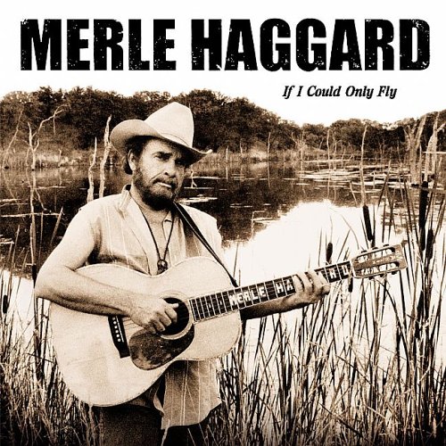 CD-Charts  Search : If I Could Only Fly