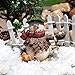 Fairy Gardens Mr Flurry