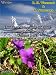 Outdoor Photography of Japan: Through the Seasons - Volume 1 of 3 (Winter/Spring)
