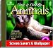 Cute & Cuddly Animals Screensaver