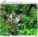 Books : Cat in the Garden Calendar: 2001