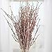 Factory Direct Craft Group of 12 Glitzy Rose Gold Glitter Twig Embellishing Stems for Event Decor, Home Accenting and Creating