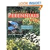 Caring for Perennials: What to Do and When to Do it