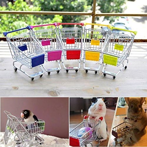 1pcs Mouse / Bird Cart Moving Toy Intelligence Growth Good Quality