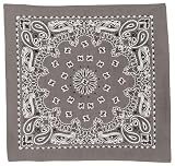 Grey Trainmen Bandana