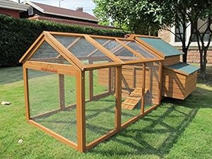 Savoy Large Chicken Coop With 1.4m Run Suitable For up to 10 Birds ...