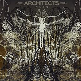 Architects Picture 2