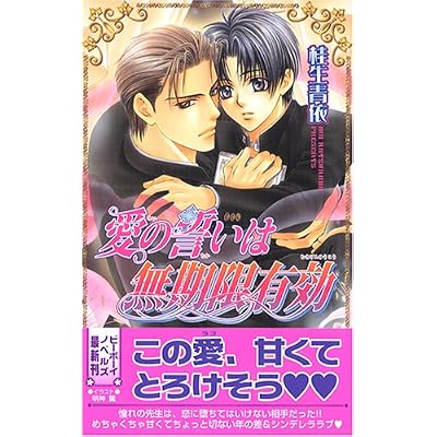 愛の誓いは無期限有効 (ビーボーイノベルズ)