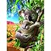 Bright Eyes 500+pc Jigsaw Puzzle by Adrian Chesterman