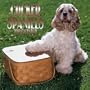 Cocker Spaniels 2000 Calendar