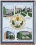 Northeastern University Collage Jacquard Woven Throw - 70" x 54"