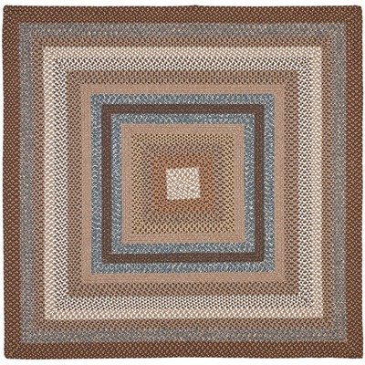 Safavieh BRD313A Braided Collection Multicolor Braided Cotton Square Area Rug, 8-Feet