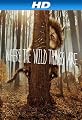 play video on Amazon Instant Video