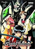Escaflowne - Paradise and Pain (Vol. 5)