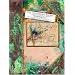 Creative Reads Using Words and Art