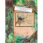 Lady Cottington's Pressed Fairy Book: 10 3/4 Anniversary Edition
