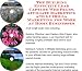 The Guerilla Marketing, Building Effective Lead Capture Web Pages, Affiliate Marketing for Work For Stay At Home Parents Businesses