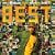 THE BEST WAY TO WALK IN THE SKY(DVD�t)