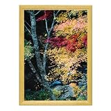 HAKUBA デジタル木製フレーム ピクスリア ナチュラルA3ノビ 509540
