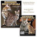 Bengals Illustrated - Bengal Cats and Savannahs Illustrated - Savannah Cats->Cliquez sur l'image pour obtenir des informations sur ce livre