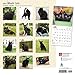Black Cats 2017 Calendar