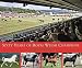 Sixty Years of Royal Welsh Champions: A Celebration of Welsh Pony and Cob Champions, 1947-2007