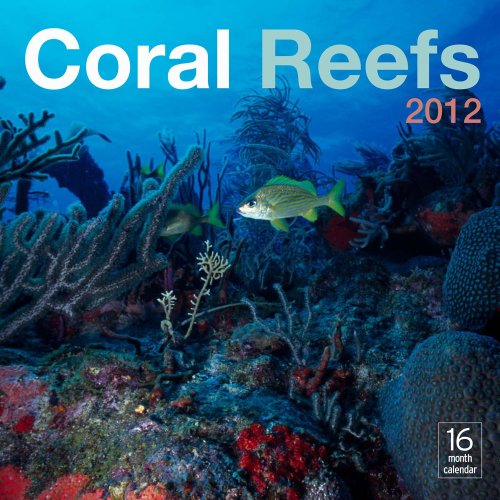 2012 Coral Reefs Wall calendar