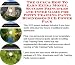 Check out The Ultimate Make An Extra Income, Marketing and Inner Game for Potty Training Pants On-line Biz Package (3 CDs)