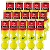 【送料無料】DUNLOP（ダンロップ）【St.JAMES(セント・ジェームス（４個入り）〔15ボトル〕】テニスボール