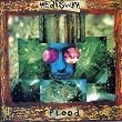 Precipity Flood