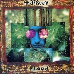 Precipity Flood