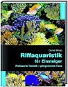 Riffaquaristik für Einsteiger: Preiswerte Technik - pflegeleichte Tiere