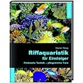 Riffaquaristik f�r Einsteiger: Preiswerte Technik - pflegeleichte Tiere