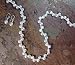 Freshwater Dancing White Pearl Necklace, 16