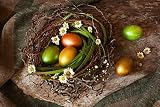 Wallmonkeys WM279859 Easter Egg Nest Flowers Peel and Stick Wall Decals (24 in W x 16 in H)