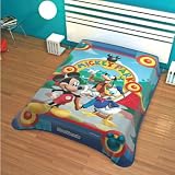 Disney Mickey Mouse Park Plush Twin Mink Blanket