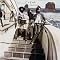 Byrds Best Albums (In order)