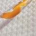 Roma 140cm x 180cm Table Top Protector
