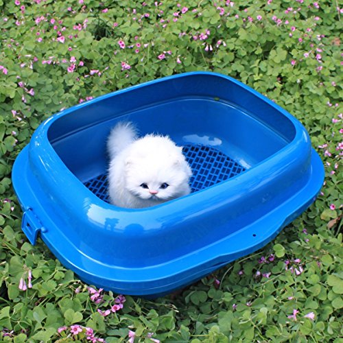 Favorite High Sided 2 Pine Sifter Cat Litter Box Animals Pet Supplies
