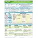 MemoCharts Pharmacology: Diabetes Mellitus and Its Drug Therapy (Review chart)