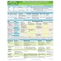 MemoCharts Pharmacology: Diabetes Mellitus and Its Drug Therapy (Review chart)