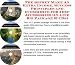 The Secret Make An Extra Income, Success Principles and eCommerce for Jeep Accessories On-line Biz Package (3 CDs)