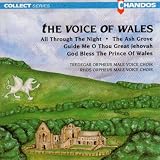 The Voice of Wales
