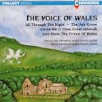 Voice of Wales