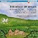 The Voice of Wales