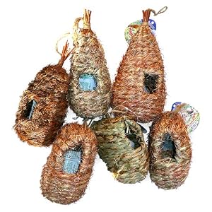 Bird Houses