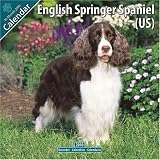 English Springer Spaniel (US) 2010 Wall Calendar #10111-10
